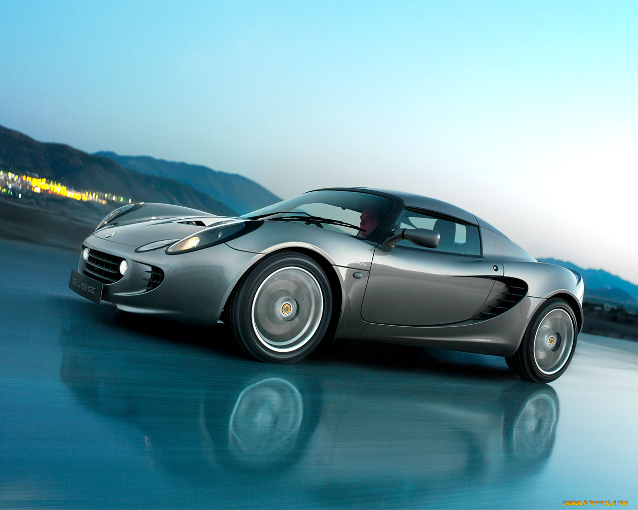 , lotus